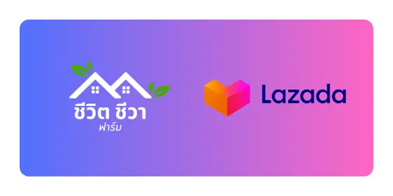 สินค้าบน Lazada