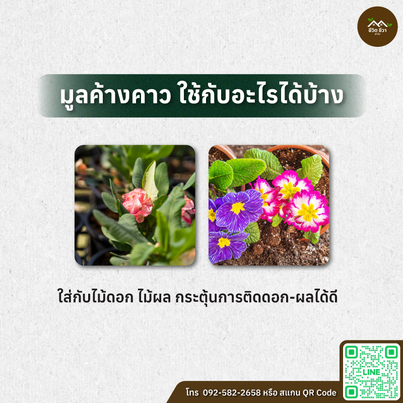 มูลค้างคาว อัดเม็ด 1 ลิตร