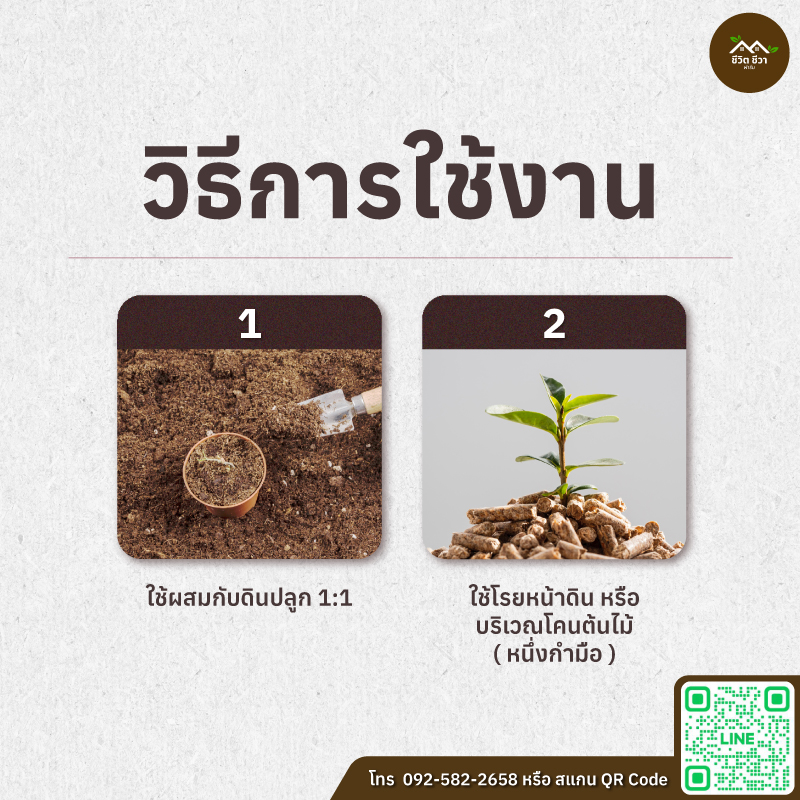 มูลสุกรอัดเม็ด หรือ มูลหมูอัดเม็ด