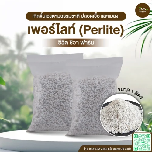 เพอร์ไลท์ Perlite