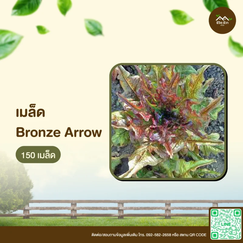 เมล็ดพันธุ์ Bronze Arrow - ชีวิต ชีวา ฟาร์ม