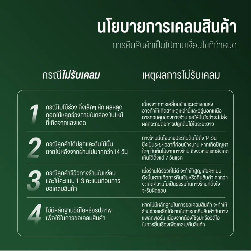 ต้นกะเพรา