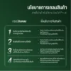 ต้นกะเพรา
