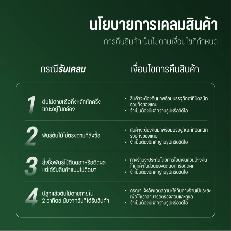 ต้นกะเพรา