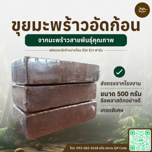 ขุยมะพร้าวอัดก้อน 500 กรัม