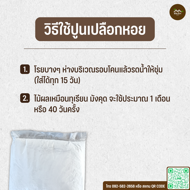 ปูนขาวเปลือกหอย