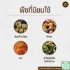 ปูนขาวเปลือกหอย