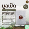 มูลเป็ด