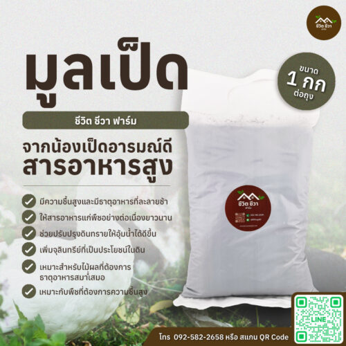 มูลเป็ด