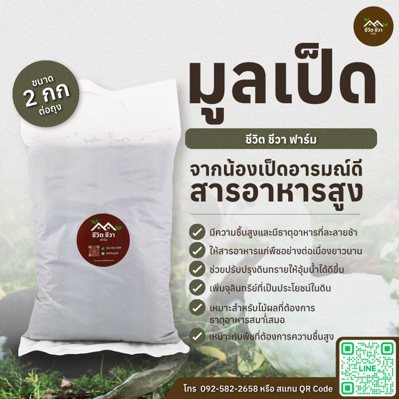 มูลเป็ด