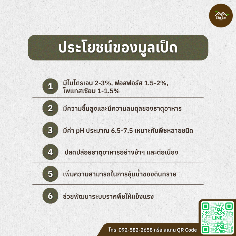 มูลเป็ด