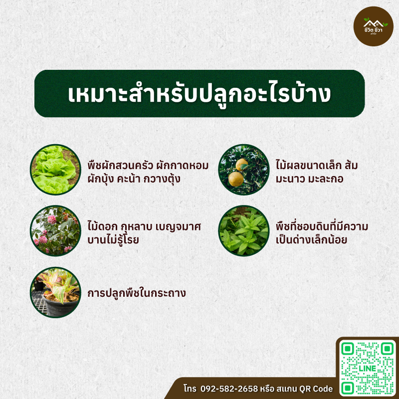 มูลแพะ มูลแพะแห้ง