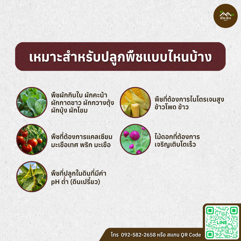 มูลไก่ไข่หมัก บดละเอียด