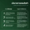 ต้นโหระพา