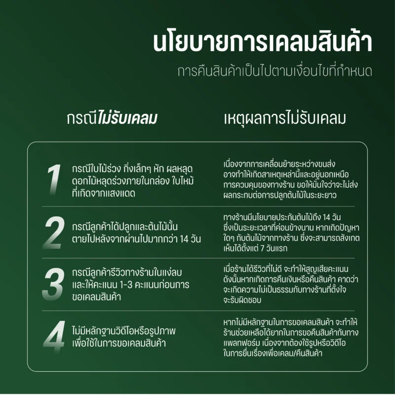 ต้นโหระพา