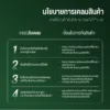 ต้นโหระพา