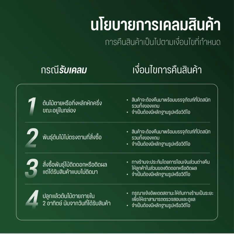 ต้นโหระพา