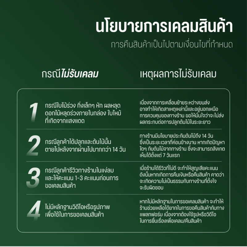 ต้นใบเตยหอม