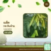 เมล็ดพันธุ์ กระถินบ้าน