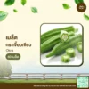 เมล็ดพันธุ์ กระเจี๊ยบเขียว