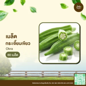 เมล็ดพันธุ์ กระเจี๊ยบเขียว