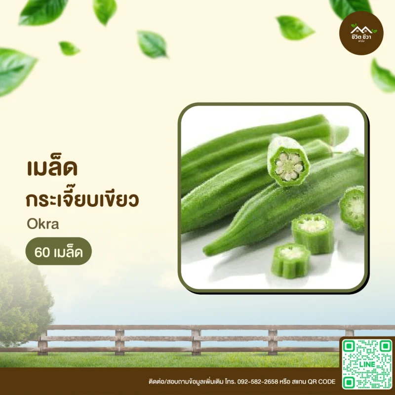 เมล็ดพันธุ์ กระเจี๊ยบเขียว