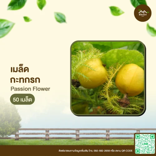 เมล็ดพันธุ์ กะทกรก