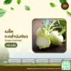 เมล็ดพันธุ์ กะหล่ำปมเขียว