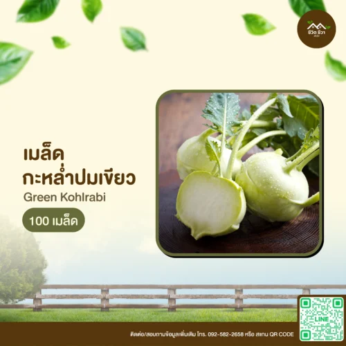 เมล็ดพันธุ์ กะหล่ำปมเขียว