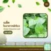 เมล็ดพันธุ์ ใบงาเกาหลีเขียว