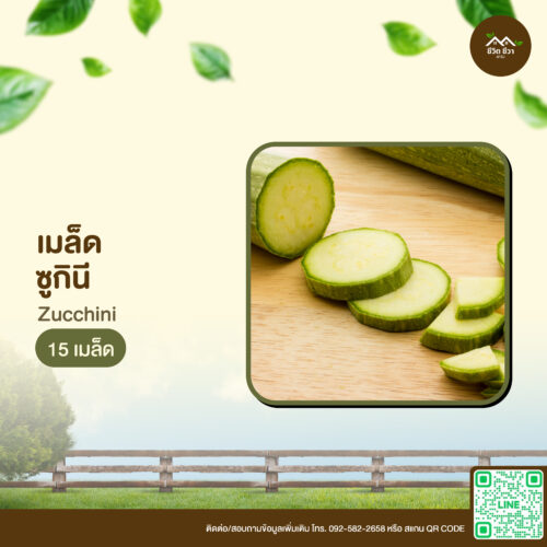เมล็ดพันธุ์ ซูกีนี