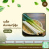 เมล็ดพันธุ์ ต้นหอมญี่ปุ่น