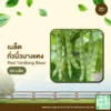 เมล็ดพันธุ์ ถั่วนิ้วนางแดง