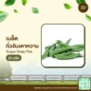 เมล็ดพันธุ์ ถั่วลันเตาหวาน