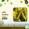 เมล็ดพันธุ์ ถั่วเหลือง