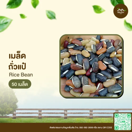 เมล็ดพันธุ์ ถั่วแป๋