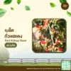 เมล็ดพันธุ์ ถั่วแฮแดง