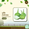 เมล็ดพันธุ์ น้ำเต้ากลม
