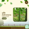 เมล็ดพันธุ์ น้ำเต้าเขาควาย