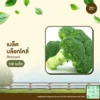 เมล็ดพันธุ์ บรอกโคลี