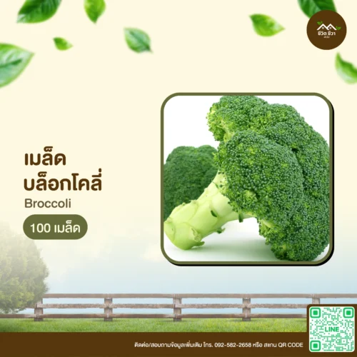 เมล็ดพันธุ์ บรอกโคลี