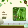 เมล็ดพันธุ์ บวบพวง