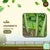 เมล็ดพันธุ์ บวบหอมยาว