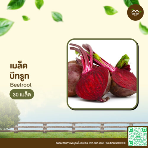 เมล็ดพันธุ์ บีทรูท