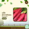 เมล็ดพันธุ์ ผักกาดหัวแดง