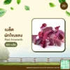 เมล็ดพันธุ์ ผักโขมแดง