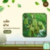 เมล็ดพันธุ์ ฝาง