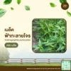 เมล็ดพันธุ์ ฟ้าทะลายโจร