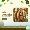 เมล็ดพันธุ์ มะขามเปรี้ยว