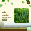 เมล็ดพันธุ์ มะระขี้นก